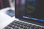 NTT Data în 2024: declin al afacerilor și intrare pe minus