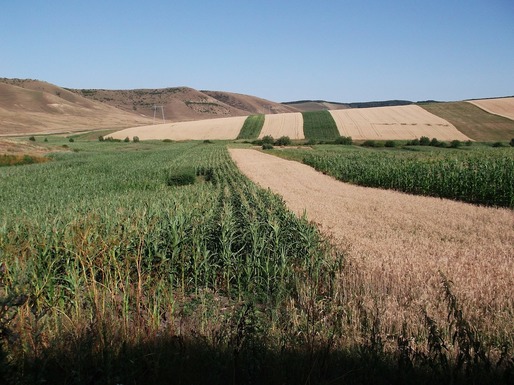 Statul ungar scoate la vânzare 6.300 de parcele de teren arabil