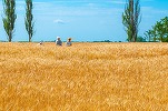 Ucraina afirmă că a pierdut un sfert din terenurile sale cultivabile din cauza invaziei ruse