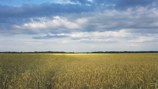 Agricultură pe terenurile minate din Ucraina: Peste 5 milioane de hectare inaccesibile, pierderile fermierilor s-au ridicat la aproape 37 de miliarde de euro în 2022