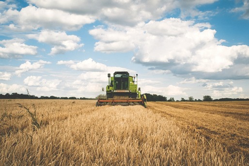 Rusia rămâne fără combustibil pentru recoltarea producției agricole: „Este un dezastru”