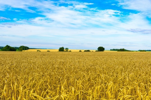 Ucraina spune că a început să exporte cereale prin porturile din Croația