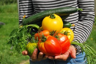 Turcia bagă 5,3 miliarde de dolari în agricultură. Vom avea și mai multe roșii, legume și fructe turcești în magazine