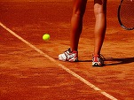 Ministrul Sportului le atacă dur pe Halep&Co- Toate jucătoarele noastre de tenis calificate au refuzat să participe la Jocurile Olimpice. Este un mesaj toxic pentru tot sportul. Vom analiza foarte serios ce programe mai finanțăm pentru Federație !