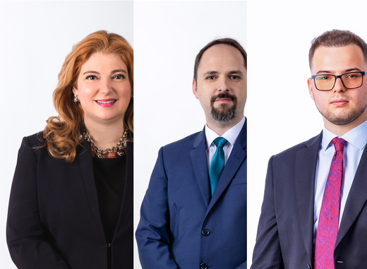 Aspecte teoretice legate de infracțiunile informatice