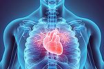 AI-ul poate măsura riscul decesului din cauze cardiace