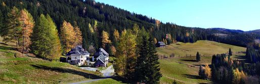 Miliardarii austrieci se întrec pentru a cumpăra păduri