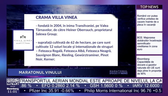 VIDEO PROFIT NEWS TV Maratonul Vinului – Mircea Matei, director executiv crama Villa Vinea: Proiectul nostru acum are o valoare totală de 1,5 milioane euro. Undeva la 50% va fi subvenția pentru extinderea de crame