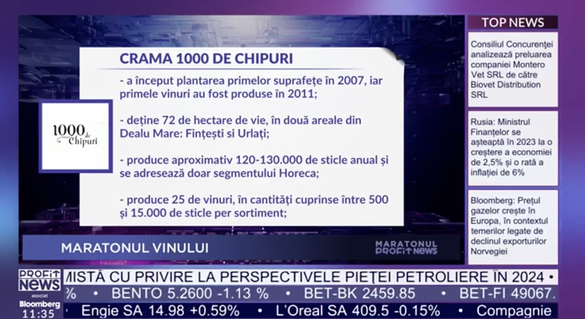 VIDEO PROFIT NEWS TV Maratonul Vinului – Ștefan Ionescu, proprietar crama 1.000 de Chipuri: Dacă vrem să mergem să vindem vinuri la export cu o imagine de țară care nu există, suntem trecuți la capitolul 