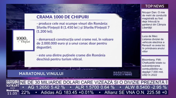 VIDEO PROFIT NEWS TV Maratonul Vinului – Ștefan Ionescu, proprietar crama 1.000 de Chipuri: Dacă vrem să mergem să vindem vinuri la export cu o imagine de țară care nu există, suntem trecuți la capitolul 