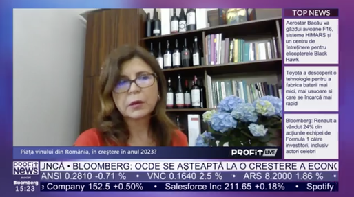 VIDEO PROFIT LIVE Aurelia Vișinescu, co-proprietar Domeniile Săhăteni: Nu e ușor să exporți vin românesc. Avem o problemă legată de imagine. Nu e suficient să mergi la un târg