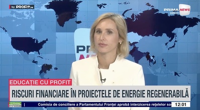 VIDEO Următorul val industrial. Iulia Meiroșu, CFO Enexus: E simplu să construiești un parc. Partea mai problematică este să-l bagi în priză - Profit.ro Live TV Educație cu Profit