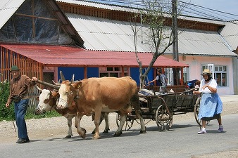 Apare ”Viața la țară” - platformă similară Booking, în care vor fi înscriși locuitorii din mediul rural care fac agroturism. Noua platformă va raporta încasările la ANAF