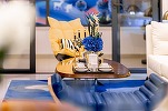 Casalux.ro - Măsuțe de cafea: cum le alegem și la ce trebuie să fim atenți