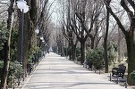 Bucuresti.ro - Parcuri mai puțin cunoscute în București, dar care își oferă o experiență plăcută