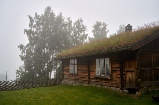 Casa-gradina.ro - Ce plante se potrivesc pe un acoperiș verde