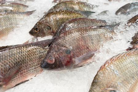 Amenzi de 50.000 de lei pentru comercianţii de peşte din Obor, 500 de kilograme de peşte confiscate la Galaţi - VIDEO