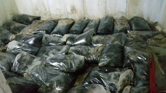 Inspectorii DSV Braşov au găsit două tone de carne în putrefacţie la un abator din Codlea