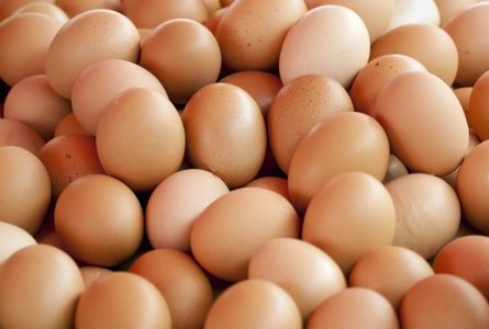 ANSVSA a retras de pe piaţă 330.000 de ouă din Polonia infestate cu salmonella. De luni, vor fi controlaţi toţi importatorii de ouă