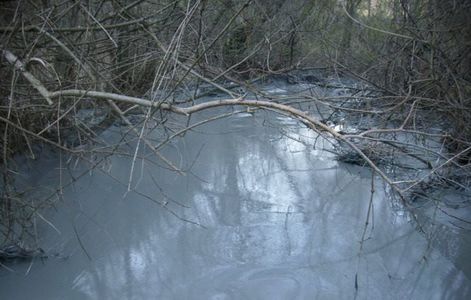 Apele Române: Unda de poluare de pe râul Arieş, în judeţul Alba, este ”în diminuare spre dispariţie”
