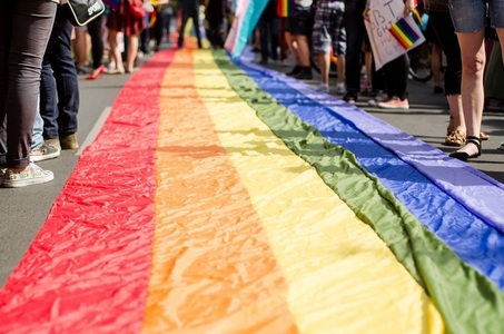 "Marşul Diversităţii" s-a încheiat în Parcul Kiseleff, după o oră şi jumătate. Au participat circa 1.000 de persoane: "Un, doi, trei, homofobii, jos cu ei!". VIDEO - UPDATE