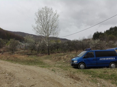 Primar Făgăraş: Ursul care a atacat cele două persoane este căutat de vânători 