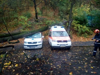 Un copac a căzut peste două ambulanţe, la Braşov; nu există victime