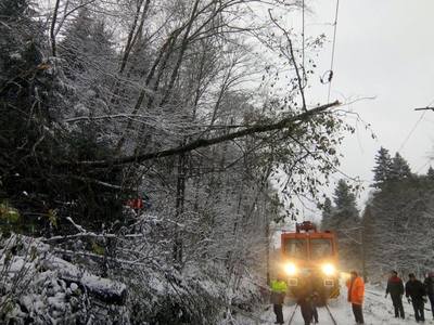 UPDATE - Trafic feroviar afectat în judeţul Braşov, după ce un arbore a căzut pe firul de contact, şapte trenuri au întârzieri de până la două ore