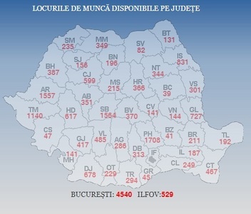 ANOFM: Aproape 22.000 de locuri de muncă vacante la nivel naţional; cele mai multe sunt în Bucureşti, Prahova, Sibiu, Arad şi Timiş