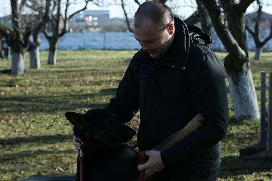 Viitoarele cadre canine ale MAI trec printr-un proces lung de pregătire. Foto: Cristina Radu / News.ro