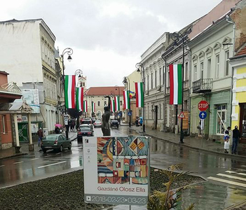 Steaguri ale Ungariei arborate pe străzile din Sfântu Gheorghe. Primăria, somată de Instituţia Prefectului să respecte legea