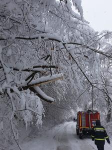Trafic complet blocat pe DN 13 A, în judeţul Hunedoara, şi pe DN 75, în judeţul Bihor, din cauza zăpezii abundente şi a copacilor căzuţi pe carosabil