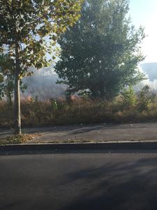 Pompierii din Bucureşti intervin pentru stingerea unui puternic incendiu de vegetaţie uscată care se manifestă pe şase mii de metri pătraţi; traficul pe Splaiul Unirii a fost restricţionat. VIDEO
