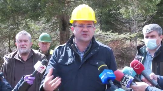 Alexe: Fac încă o dată un apel la toată populaţia României, să înţelegem cu toţii că avem situaţii în care lemnul trebuie exploatat sustenabil 