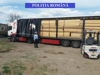 Alexe: Peste 3.600 de transporturi de lemn, verificate între 4 şi 26 aprilie/ 1.000 de metri cubi erau transportaţi ilegal, fiind aplicate amenzi în valoare de 415.000 de lei/ Ministrul vrea confiscarea camioanelor cu care se transportă ilegal lemn