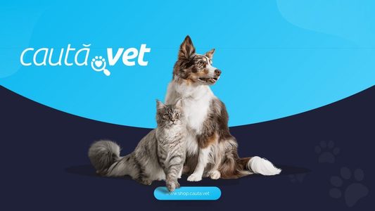 O companie din Iaşi a lansat o platformă online unde medicii veterinari pot oferi consultaţii