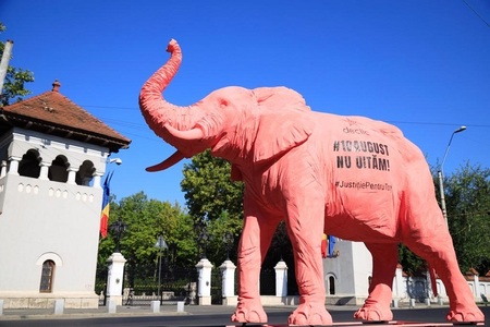 Membrii comunităţii Declic duc un elefant roz la toate instituţiile implicate în ancheta 10 august - FOTO