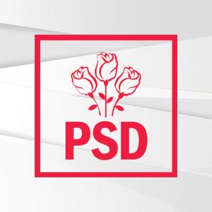 ALEGERI LOCALE 2020 - PSD Vrancea: Secretar de stat în MAI, agent electoral pentru soţia sa