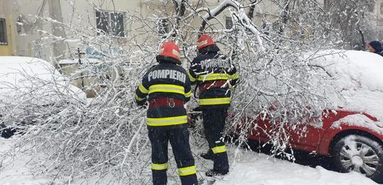 FOTO: ISU Tulcea