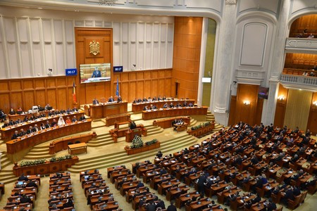 Parlamentul a respins amendamentul pentru dublarea alocaţiilor, susţinut de Gabriela Firea