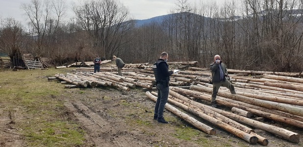 Misiunea "Scutul Pădurii" în Caraş Severin - 17 camioane verificate,  peste 120 de metri cubi de material lemnos confiscat şi două sancţiuni în valoare 15.000 de lei
