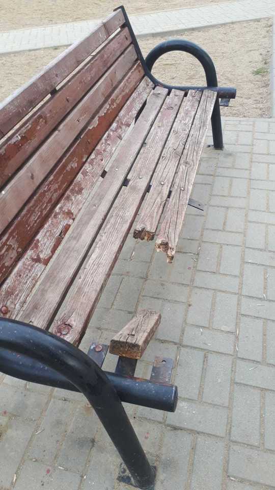 Sursa foto: Primăria municipiului Ploieşti