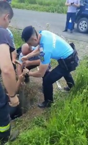 Buzău: Jandarmii au intervenit pentru a salva un bursuc care a căzut într-un puţ - VIDEO