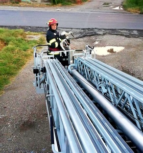 Giurgiu: Intervenţie a pompierilor pentru salvarea unui pui de barză pe care vântul l-a dat jos din cuib - FOTO
