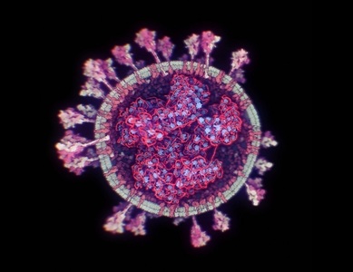 INSP: 262 de cazuri de infectare cu varianta Delta, confirmate până în 1 august/ S-au înregistrat 14 decese la persoane infectate cu această tulpină, inclusiv al unui bărbat vaccinat