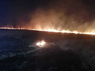 Dolj: Intervenţii ale pompierilor pentru stingerea a trei incendii de vegetaţie uscată / Cel mai mare este în localitatea Braloşniţa, unde arde vegetaţie pe o sută de hectare de teren - FOTO