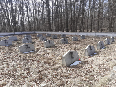 Persoane necunoscute au inscripţionat cu vopsea literele Z şi V pe mormintele soldaţilor ruşi dintr-un cimitir din judeţul Iaşi