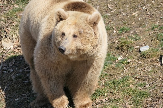 FOTO: Facebook AMP Libearty