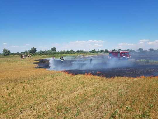 Sursa foto: ISU Dolj