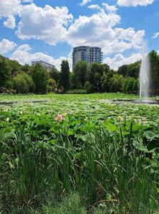 Nicuşor Dan anunţă soluţii pentru lacul din Parcul Circului: Am semnat certificatul de urbanism pentru execuţia unui puţ de mare adâncime pentru alimentarea lacului şi pentru irigarea spaţiului verde din parc